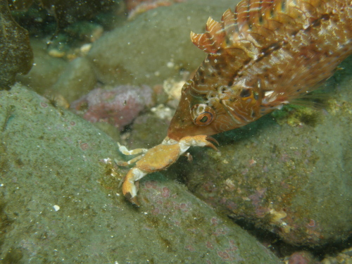 c0034029_732359.jpg