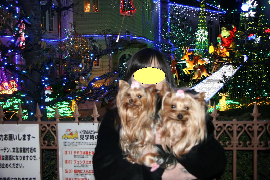 f0124830_21443379.jpg