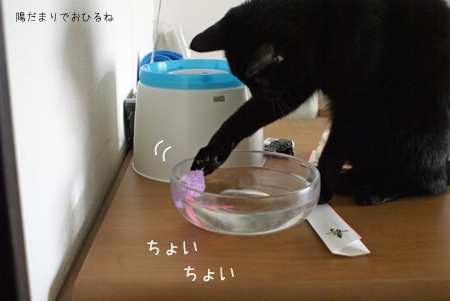 c0132438_21384934.jpg