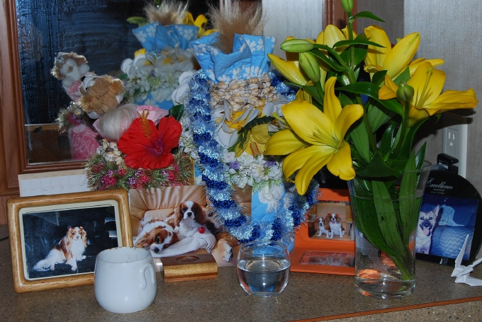 c0136838_186546.jpg