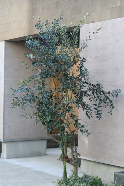 f0157538_211515.jpg