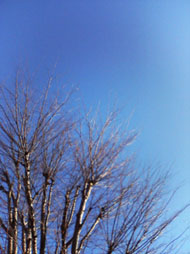 f0204440_131842.jpg