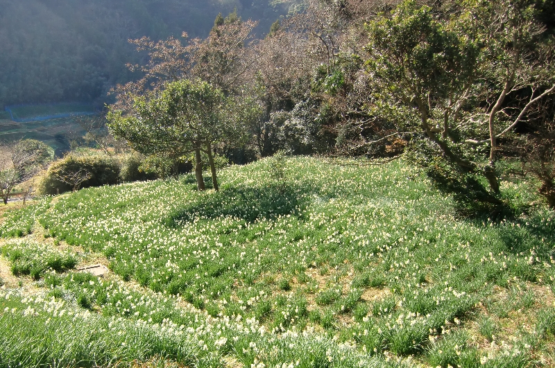 c0122445_205929.jpg