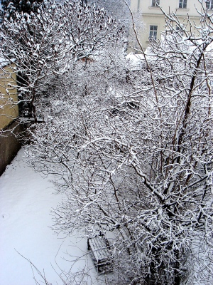 a0072247_15132749.jpg