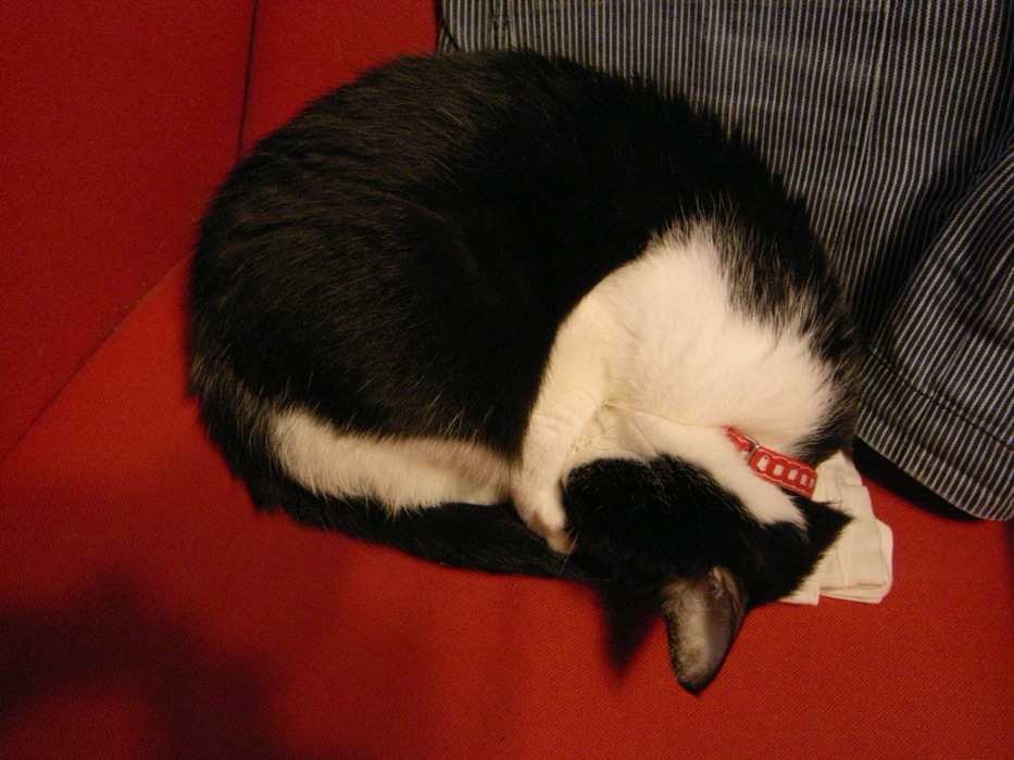 c0138553_23172140.jpg