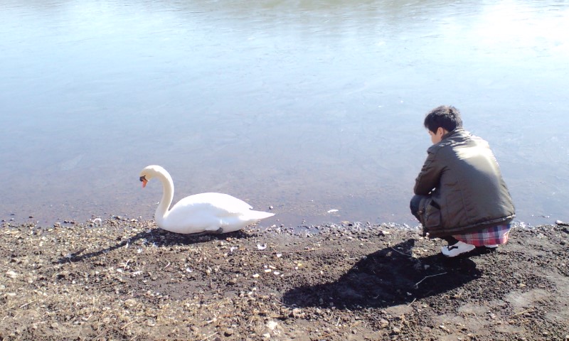 a0031155_12255048.jpg