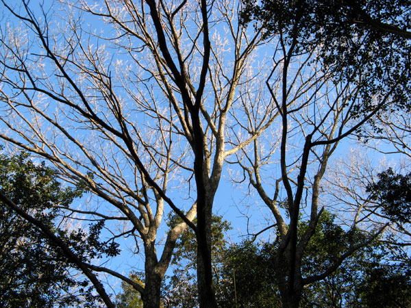 f0007956_22471367.jpg