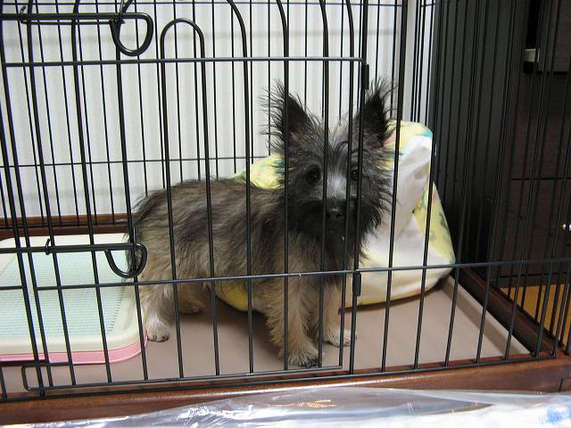 c0202659_20405687.jpg