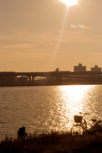 f0146161_026181.jpg