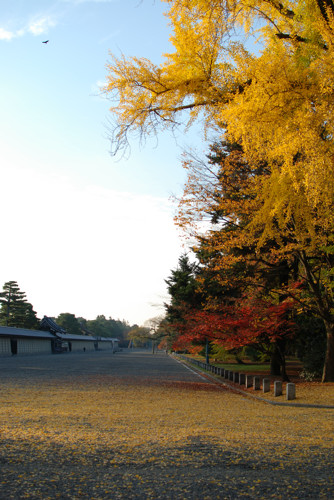 e0113562_8144042.jpg