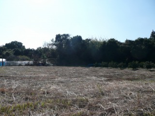f0055264_2142681.jpg
