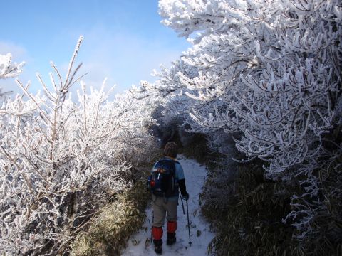 c0042869_1927317.jpg