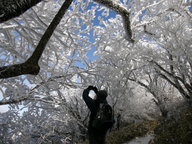 c0042869_19354787.jpg