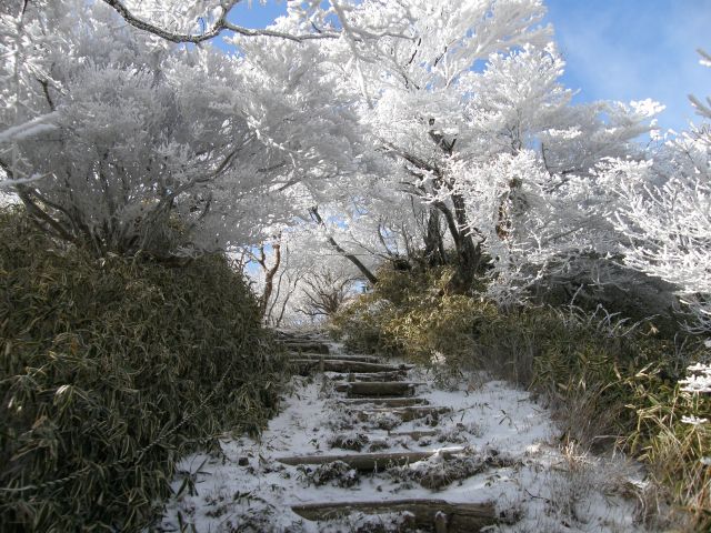 c0042869_1938595.jpg
