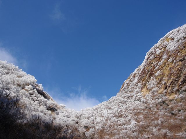 c0042869_1941218.jpg