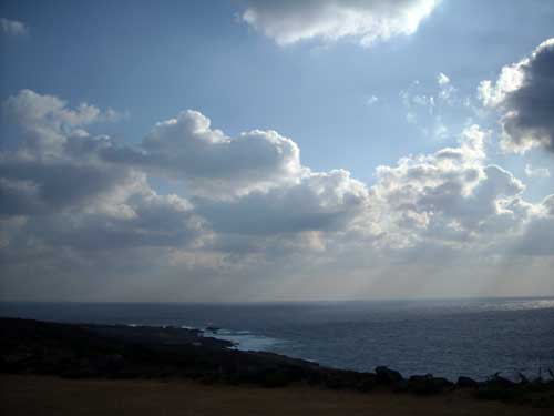 e0097770_128497.jpg