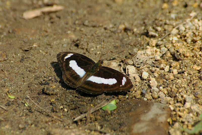 f0090680_13491593.jpg