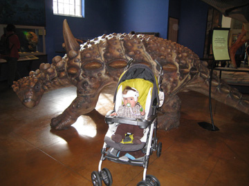 f0068883_7251.jpg