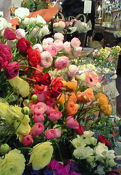 e0088684_23454813.jpg
