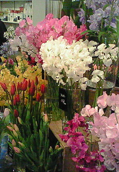 e0088684_23461173.jpg