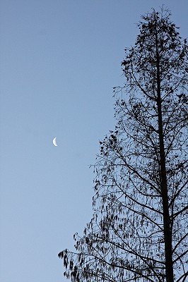 e0190885_16261433.jpg