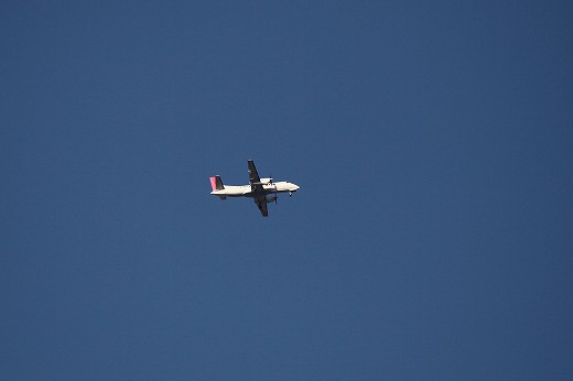 e0190885_1627502.jpg