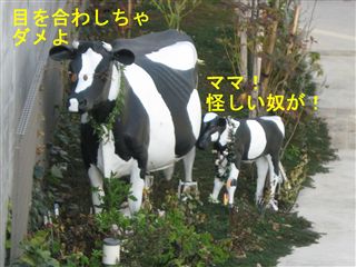 e0121589_1716313.jpg