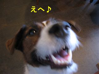 e0121589_1782230.jpg