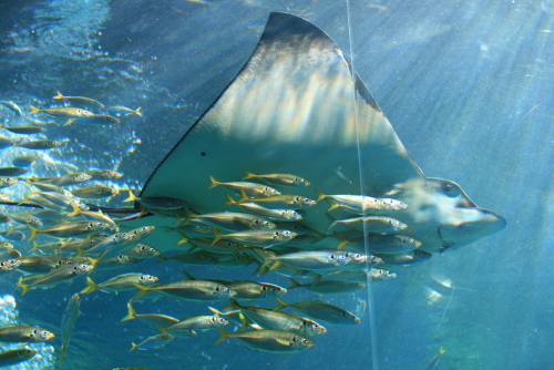 f0093592_9562027.jpg