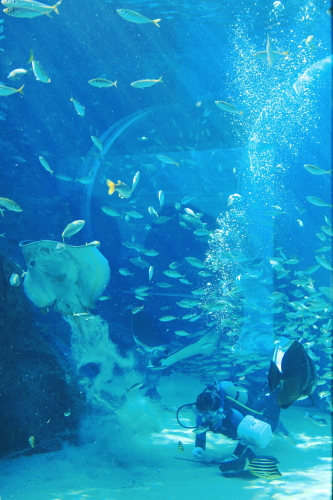 f0093592_956478.jpg