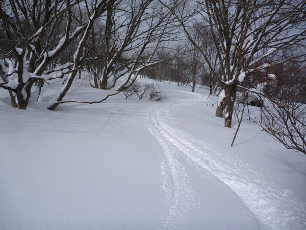 a0043193_159373.jpg