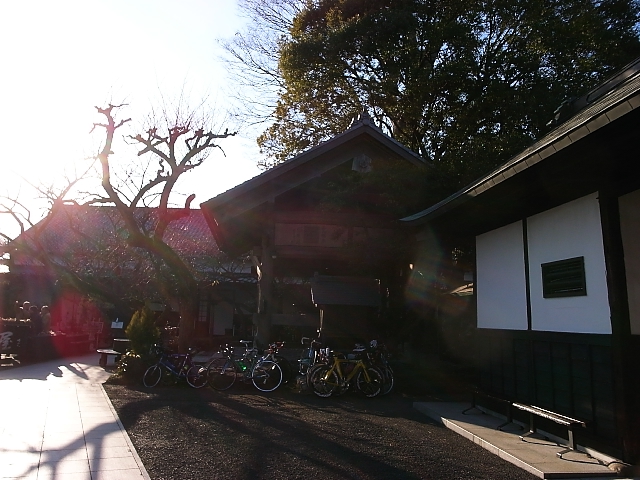 d0081997_2245511.jpg
