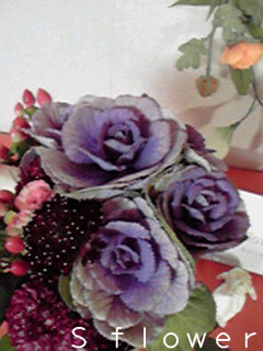 a0101000_21144550.jpg