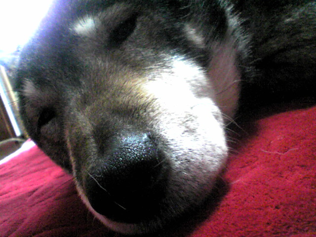 f0079202_1831725.jpg