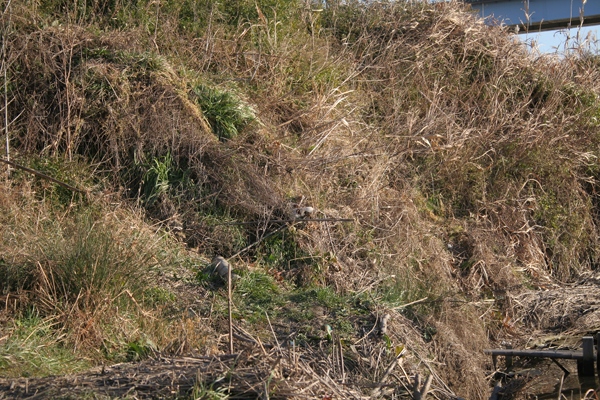 a0122208_18381655.jpg