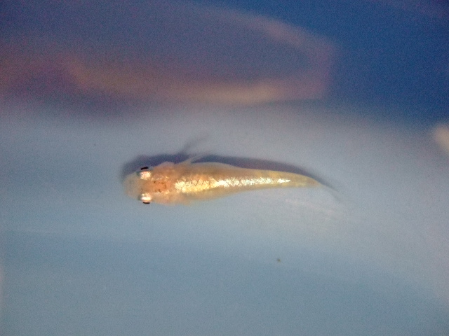 f0152308_22132572.jpg