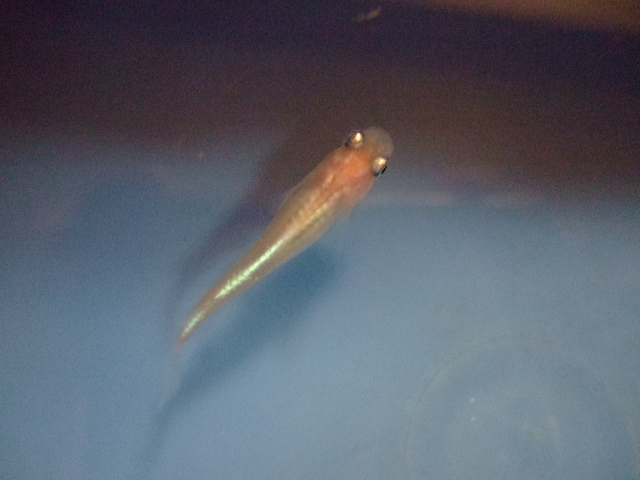 f0152308_2213994.jpg