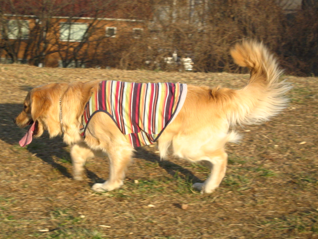 d0150309_19253864.jpg