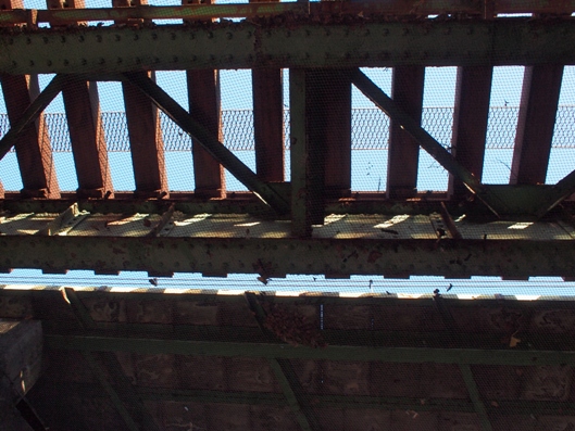 e0083212_1601159.jpg