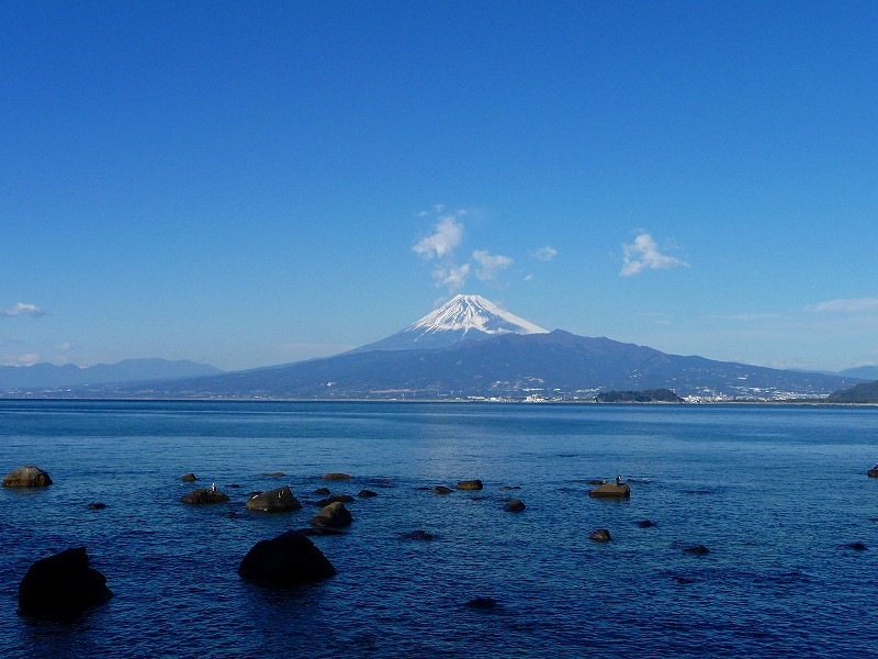 f0182513_116145.jpg