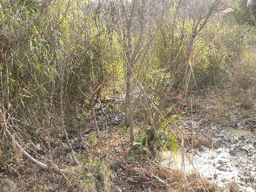 e0002314_10401991.jpg