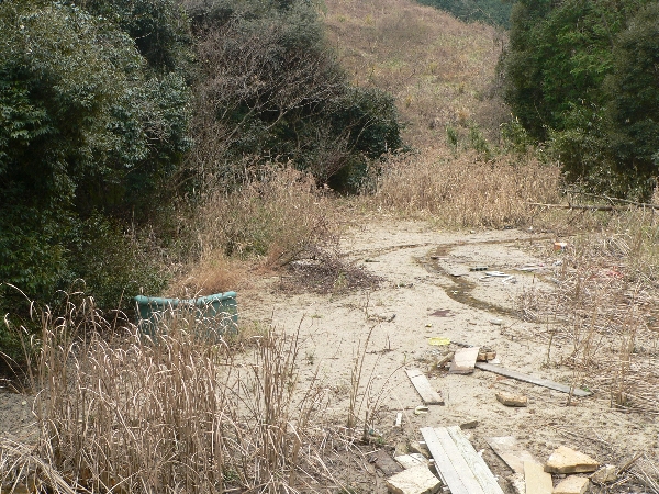e0002314_21125726.jpg