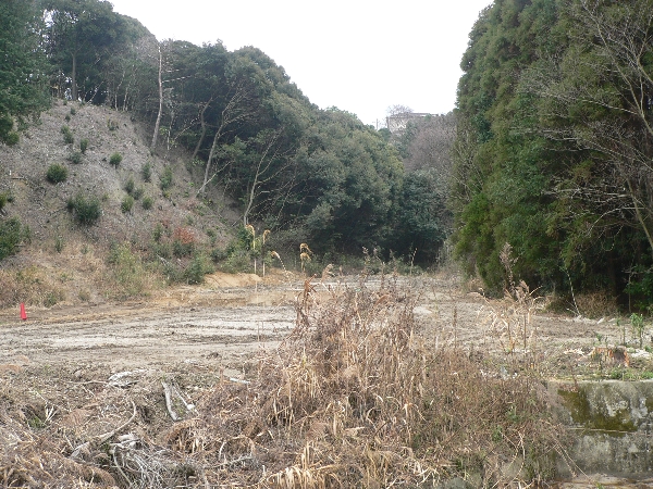 e0002314_2143174.jpg