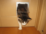 e0195115_12293853.gif