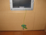 e0195115_1236573.gif