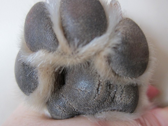 e0192217_1549329.jpg