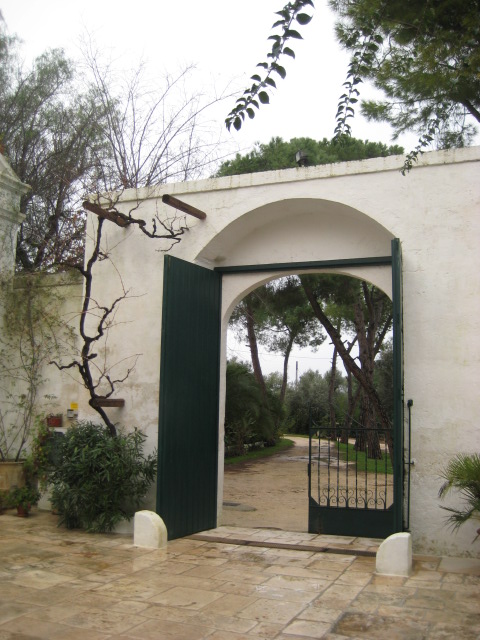 d0147727_19194133.jpg