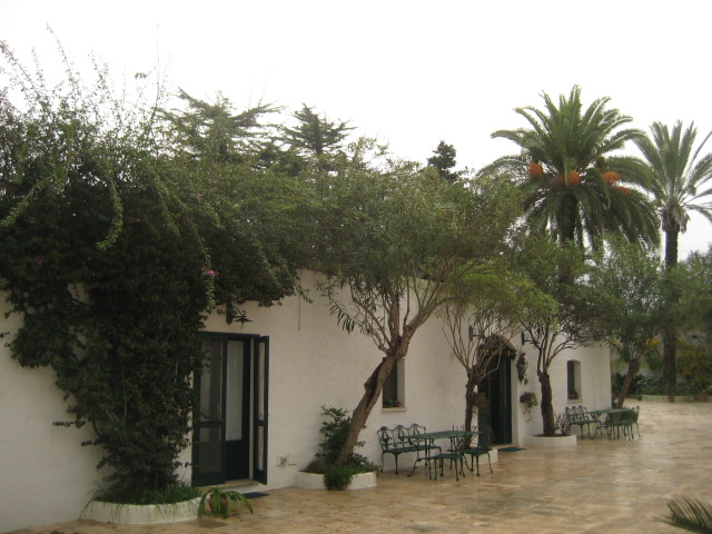 d0147727_192198.jpg