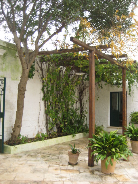d0147727_19254935.jpg