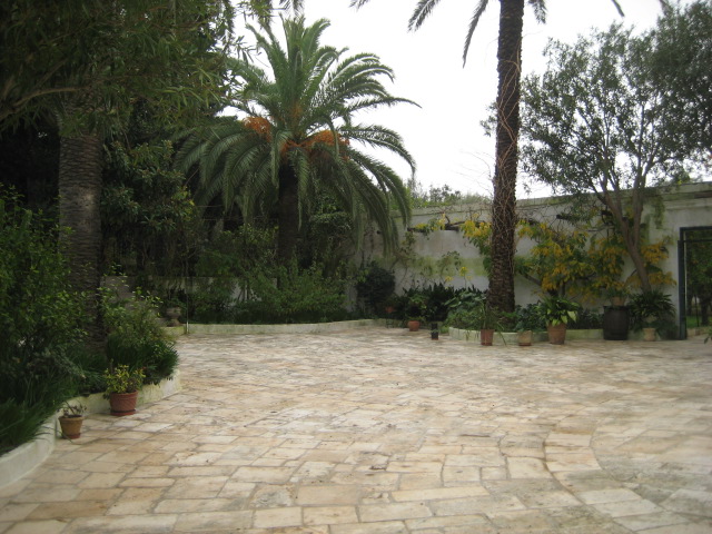 d0147727_19275216.jpg